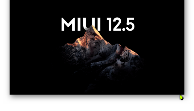 Howto MIUI 12.5 Global auf einem Mi9lite mit EU Branding